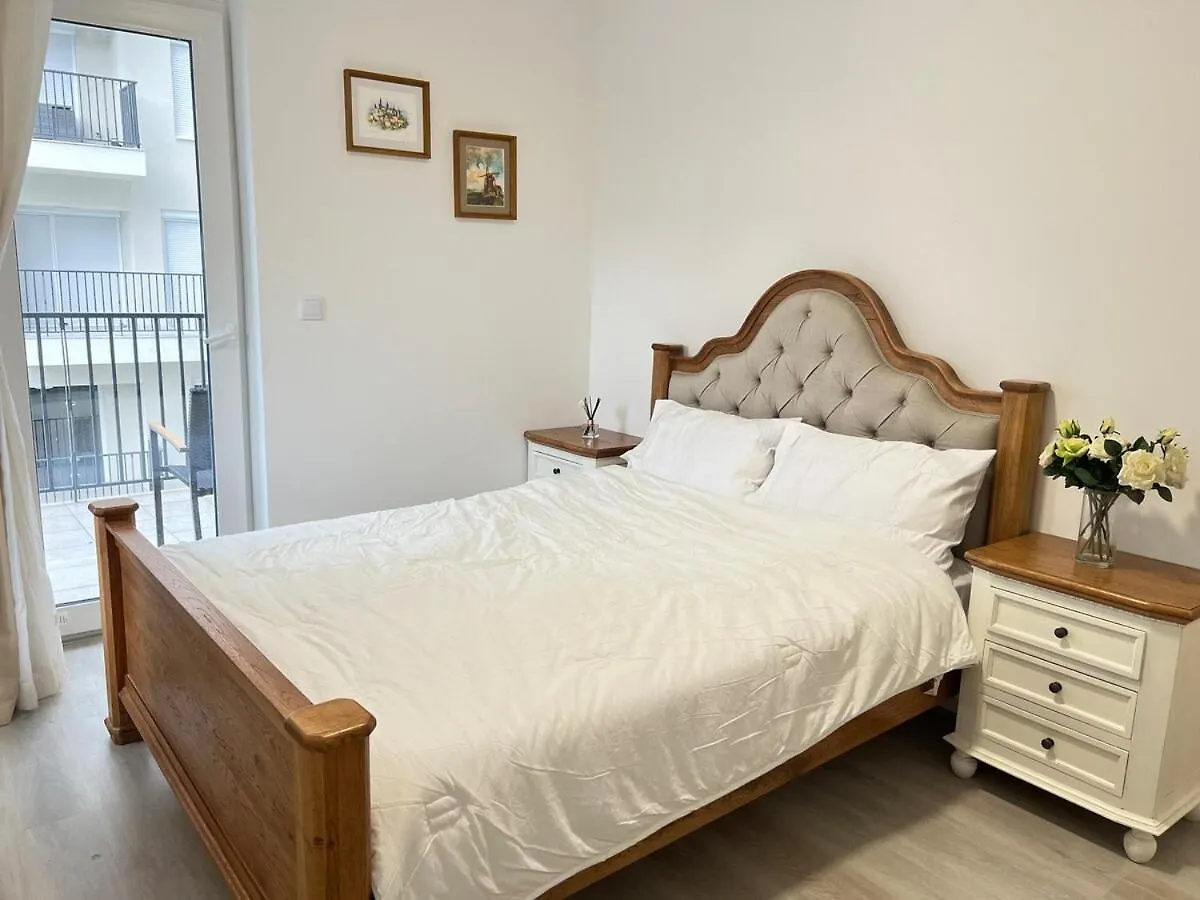 Danube 3 Beds With Big Balcony Parking 10Euro A Day Apartment Budapest Hungary